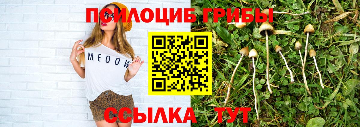 Галлюциногенные грибы Magic Shrooms Чусовой